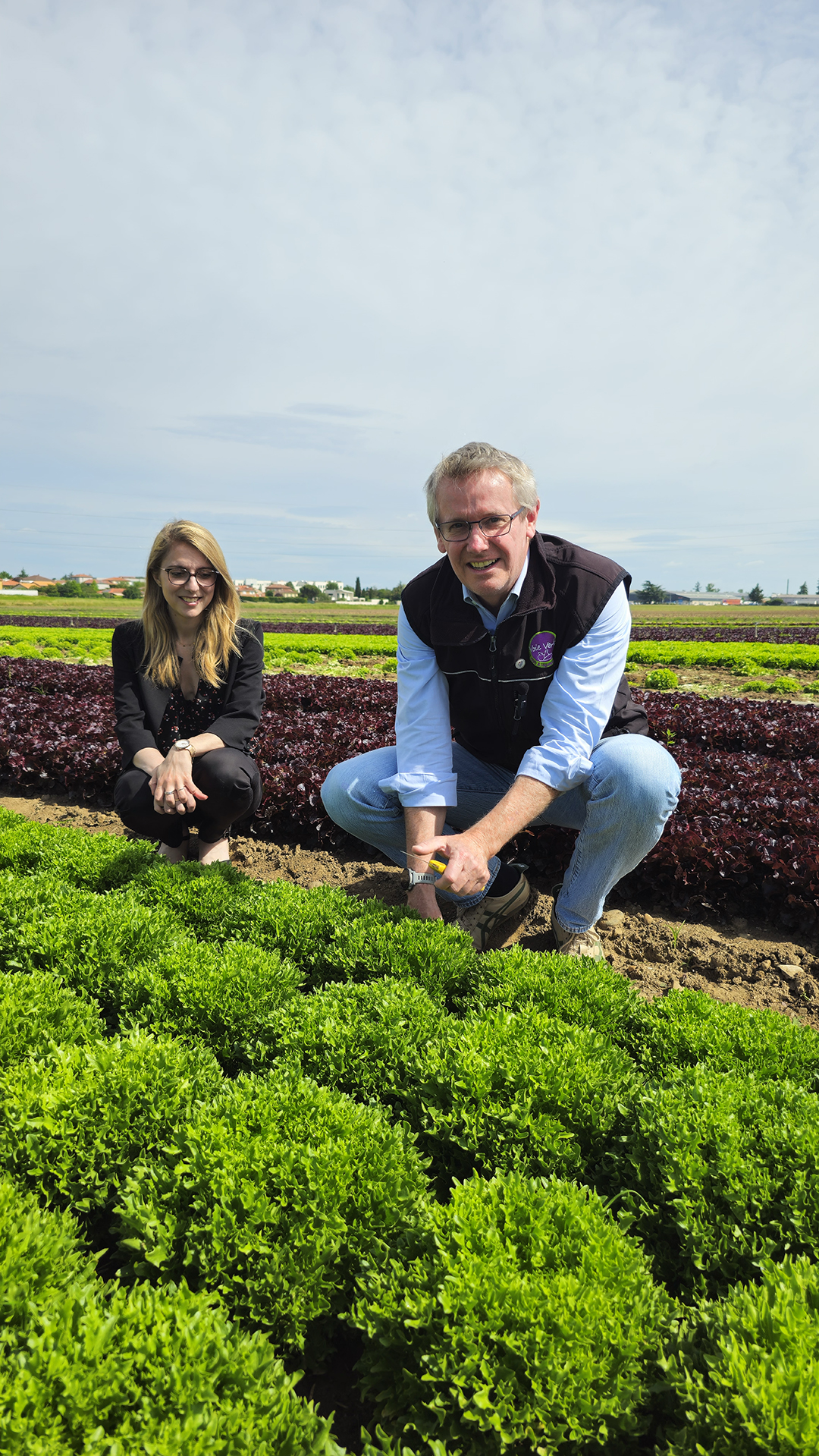 Producteur maraîcher et équipe Fabioli accroupis dans un champ de salades fraîches sous le soleil